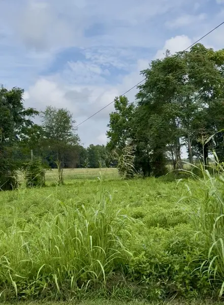 255 Shoals Rd, Rock Island, TN 38581