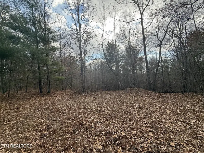 0 Valerie Drive, Deer Lodge, TN 37726