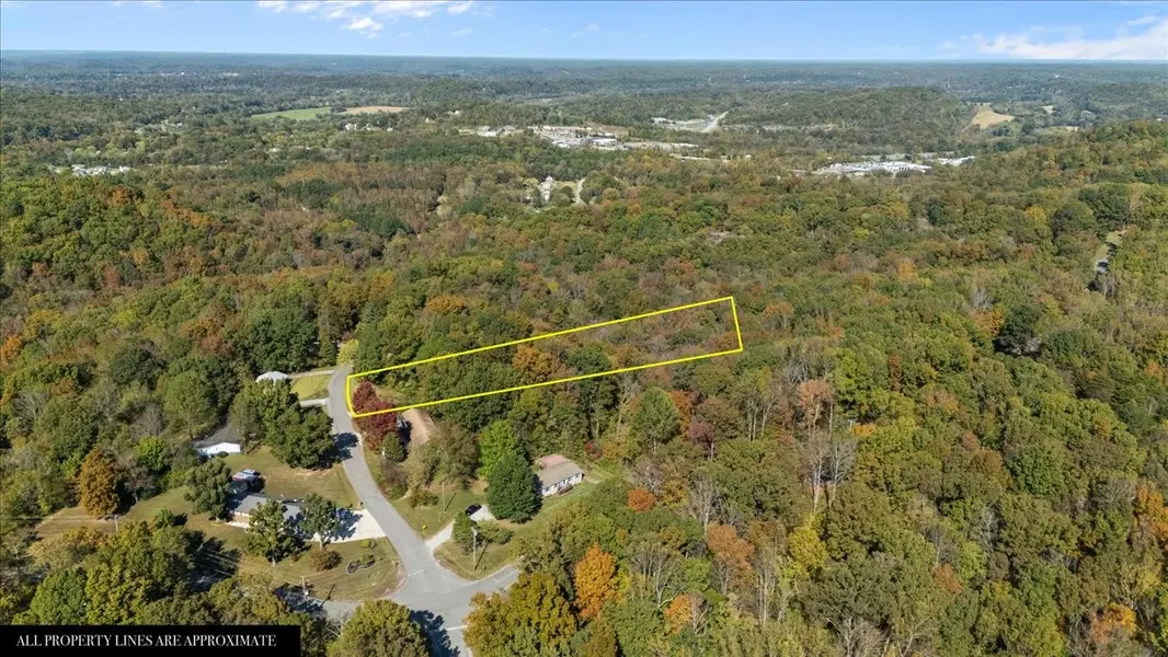 1006 Crestview Ct, Kingston Springs, TN 37082