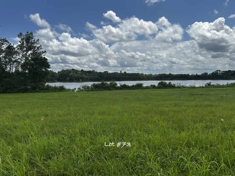 0 CATFISH LN, Crump, TN 38327