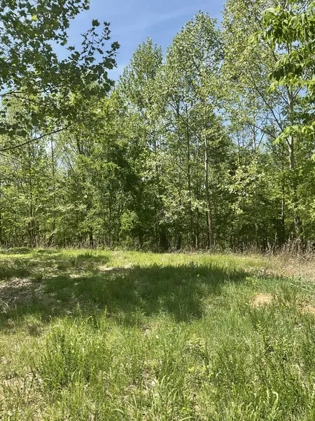 98 Saddleback Drive, Dover, TN 37058