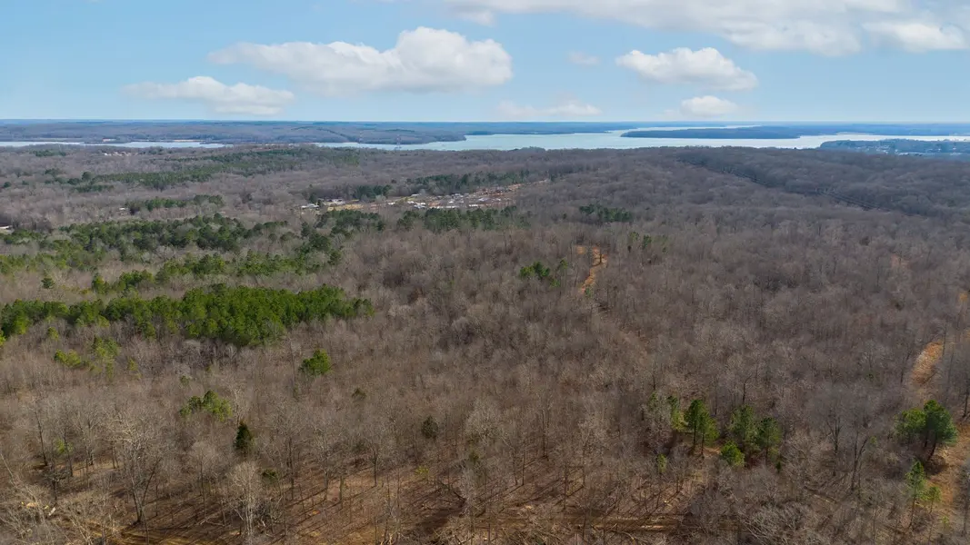 2 Olde Tennessee Trail, Springville, TN 38256