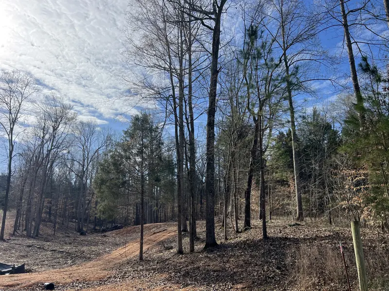 0 Excalibur Trail, Cedar Grove, TN 38321