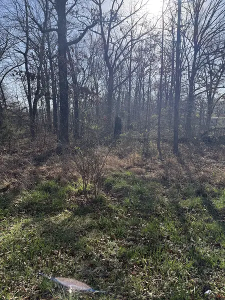 0 Cheyenne Cir, Beechgrove, TN 37018