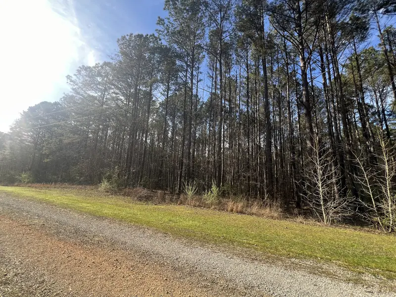 116 Zara Spook Dr, Cedar Grove, TN 38321