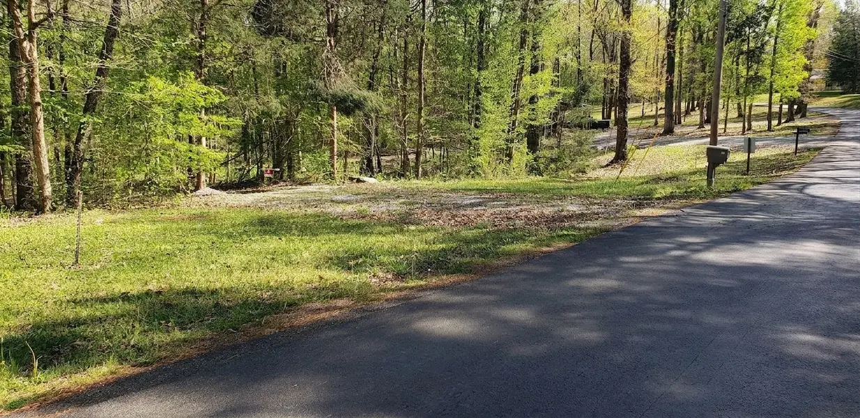 113 Beechview Rd, Clifton, TN 38425