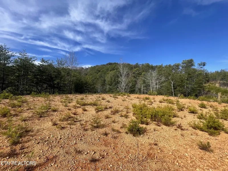 36 Bullet Mountain Drive, Tellico Plains, TN 37385