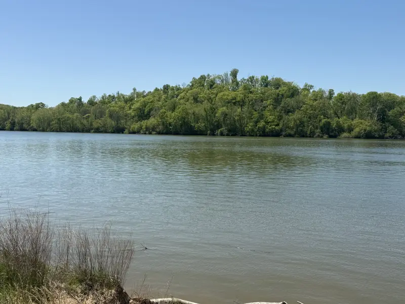 941 Hardin Bottom River Road, Clifton, TN 38425