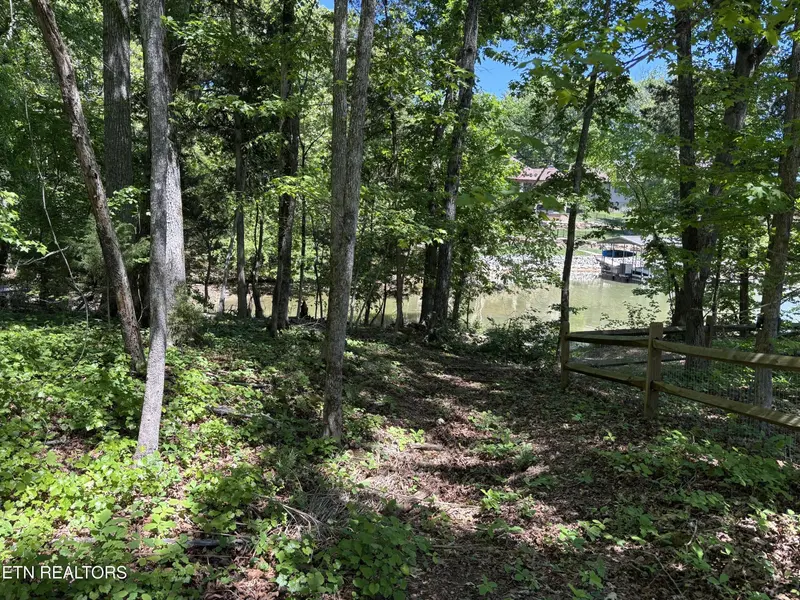 0 E Shore Drive, Rockwood, TN 37854