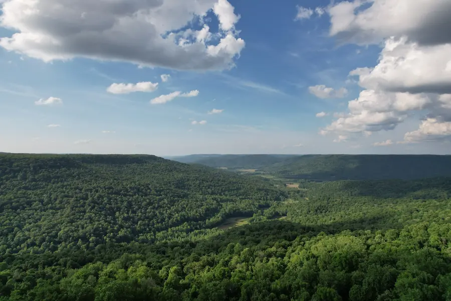 309 Blackberry Rd, Beersheba Springs, TN 37305