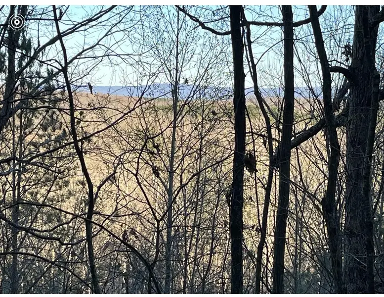 0 County Road 956, Calhoun, TN 37309
