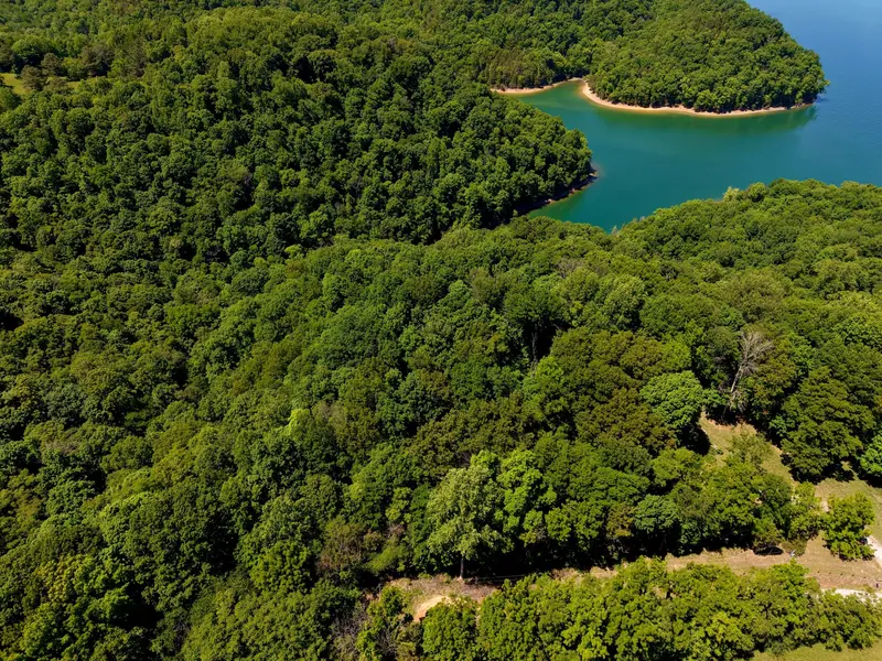 0 Charlie Melton Rd, Allons, TN 38541