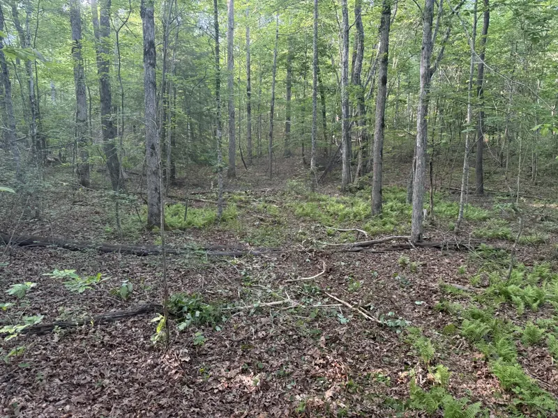 1672 Besstown Road, Beersheba Springs, TN 37305
