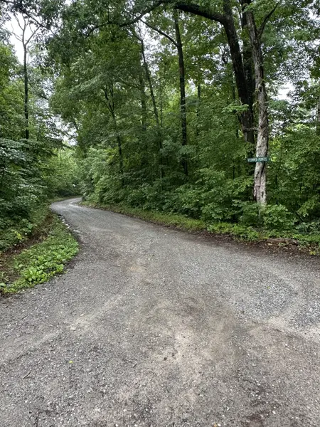 0 Gunson Ridge Road, Cumberland City, TN 37050