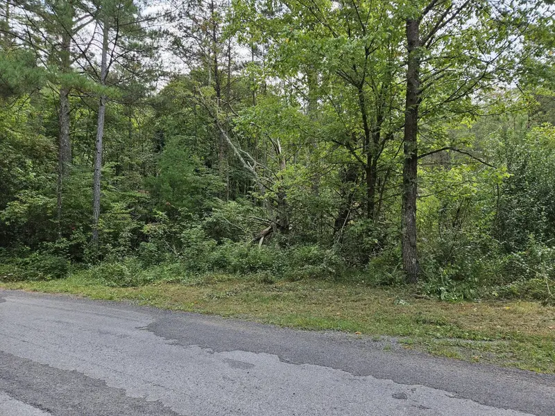 32 Belaire Drive, Copperhill, TN 37317