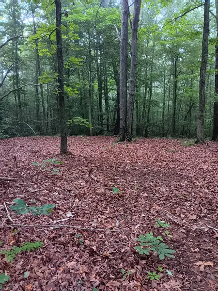 0 logger lane, Cedar Grove, TN 38321