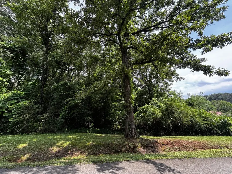 0 Kendall Avenue, Bridgeport, AL 35740