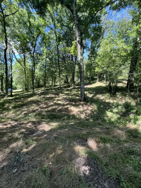 0 Horseshoe Bend Ln, Elmwood, TN 38560