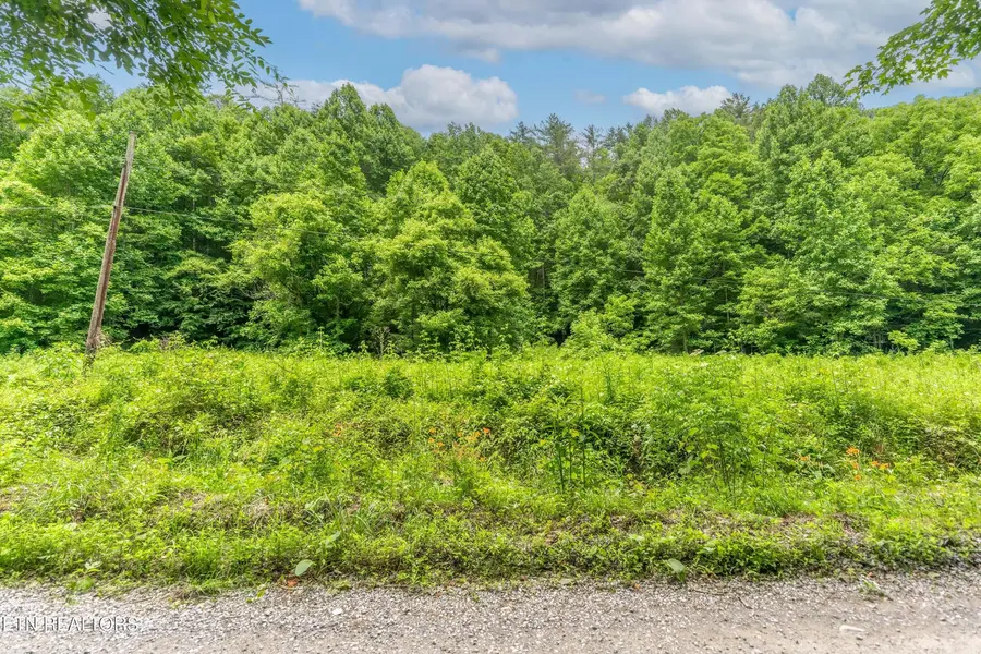 0 Johns Creek Rd, Del Rio, TN 37727