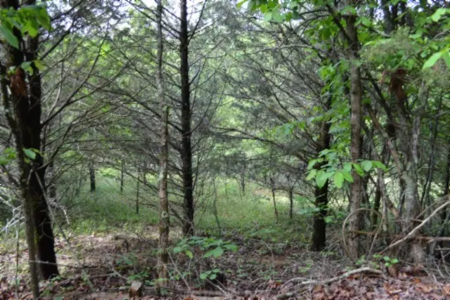 0 Circle Road, Burkesville, KY 42717