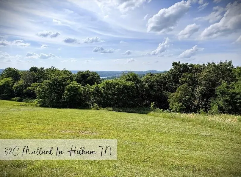 82c Mallard rd, Hilham, TN 38568