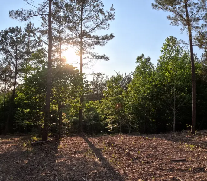1882 Hillbrook Dr, Linden, TN 37096