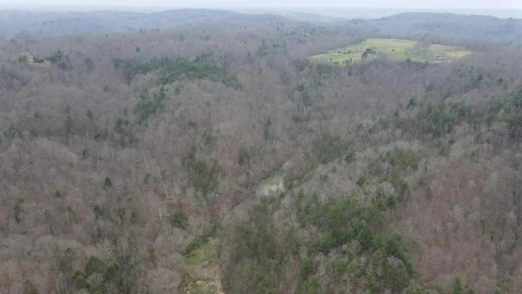 899 Morning Glory Hollow Road, Helenwood, TN 37755