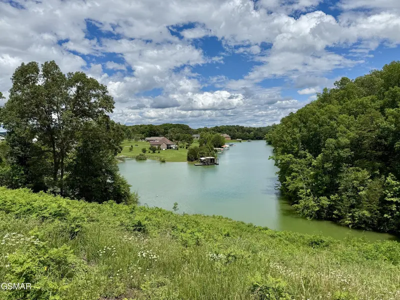 12 Ferry Hill Road, Dandridge, TN 37725