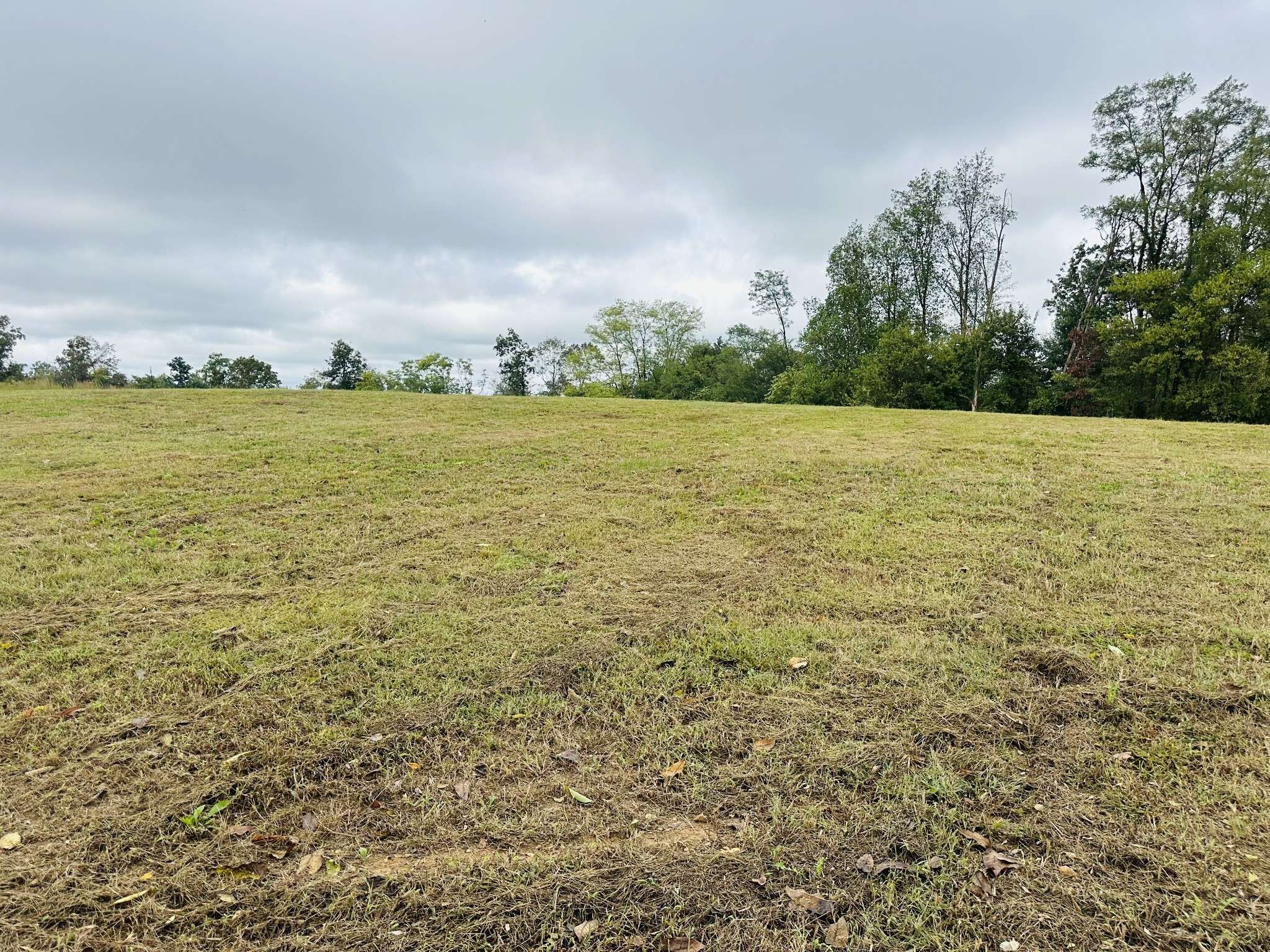 7 Annie Hollow Rd, Westmoreland, TN 37186