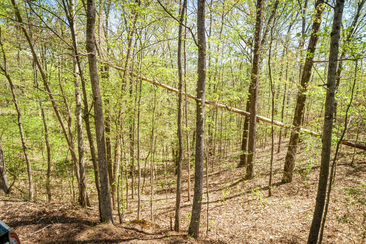 0 Fawn Ridge Rd, Parsons, TN 38363