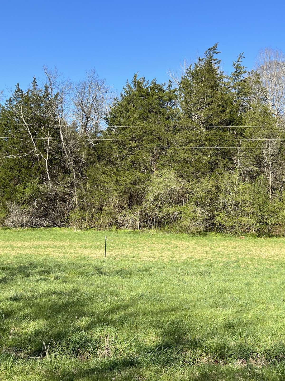 0 Spring Valley Rd, Taft, TN 38488