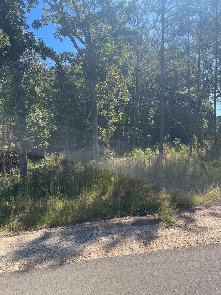 0 Beach Bluff Ln, Huntingdon, TN 38344