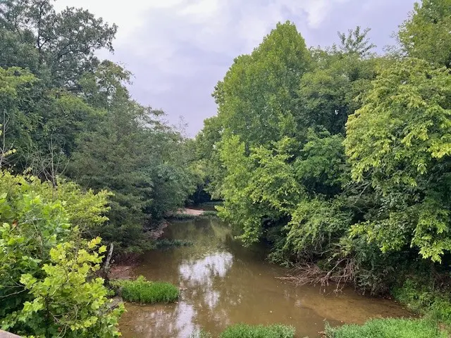 0 Pyles Rd, Chapel Hill, TN 37034