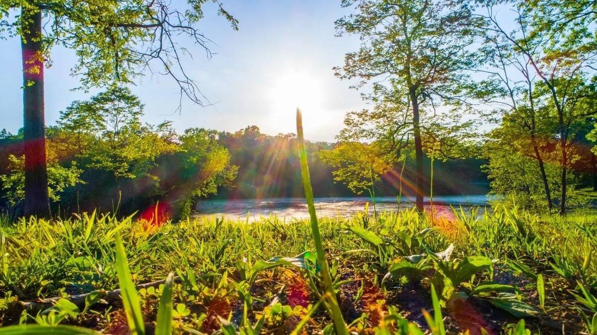 0 Forest Retreat Rd, Hendersonville, TN 37075