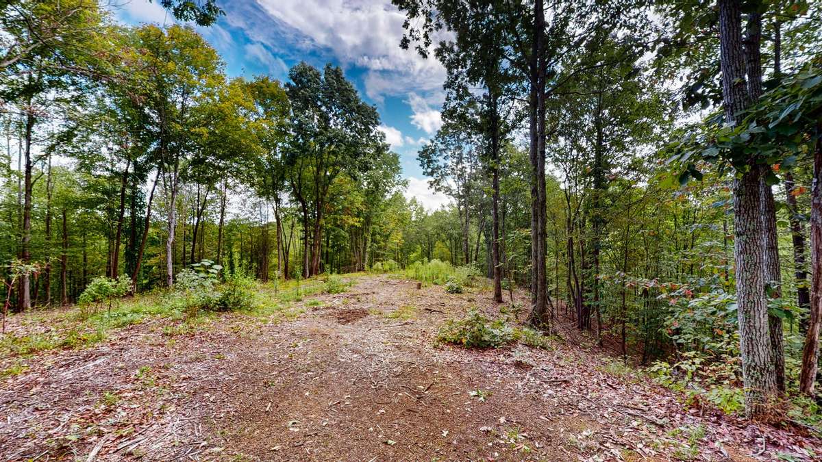 352 Briarwood Dr, Linden, TN 37096