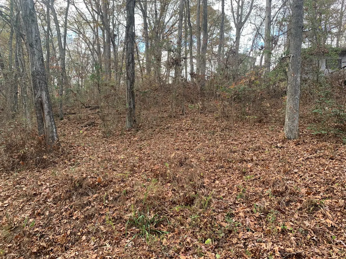160 Trailer Rd, Springville, TN 38256