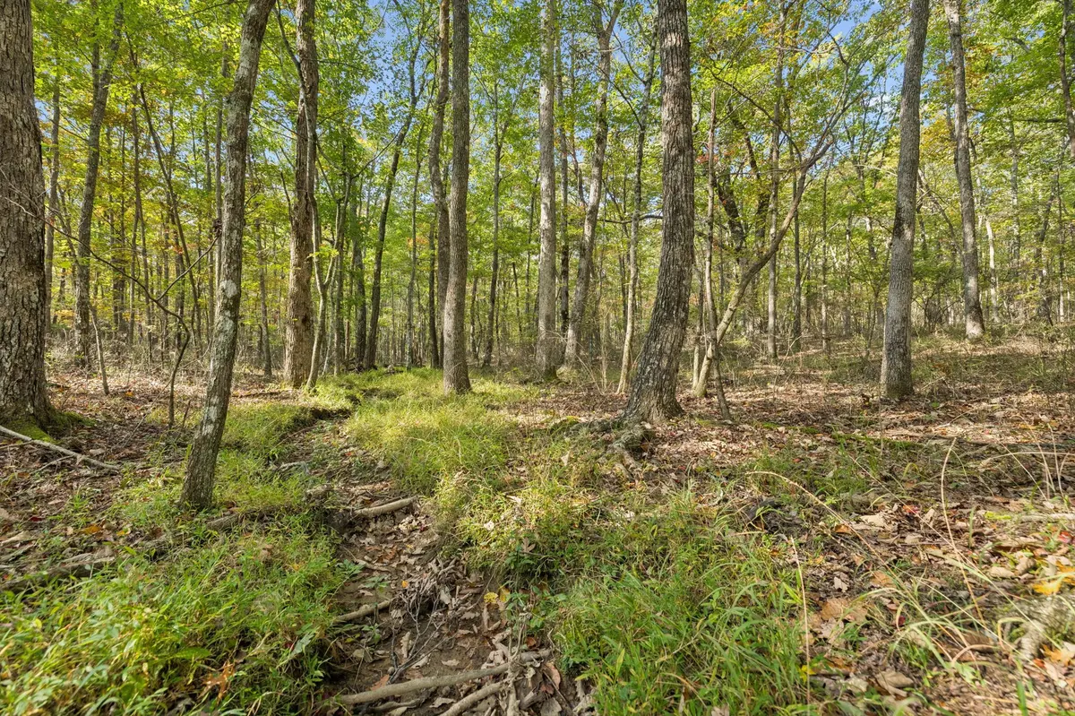 0 Timberwood Trace, Monteagle, TN 37356