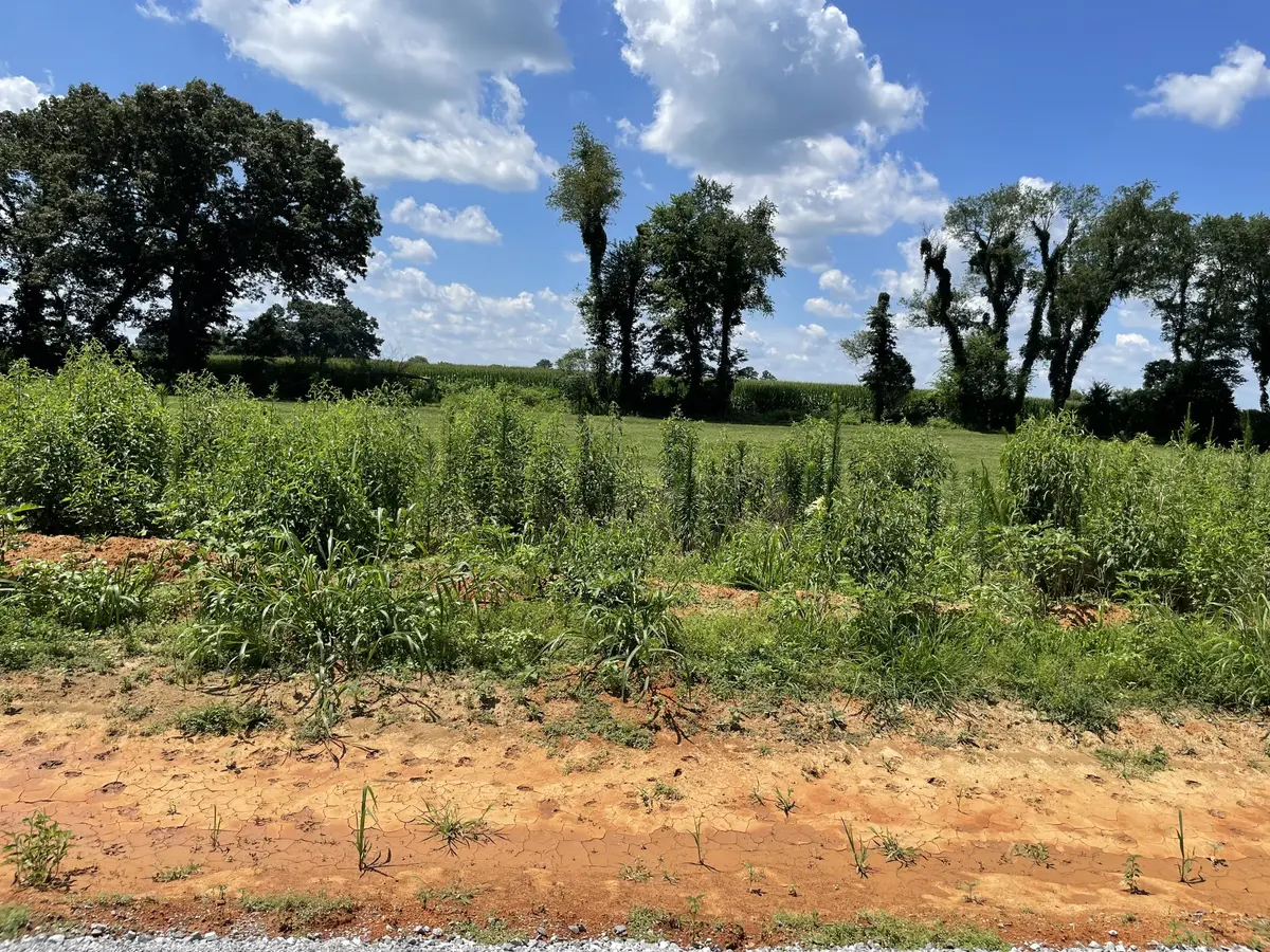 0 Hidden Hills Lane, Summertown, TN 38483