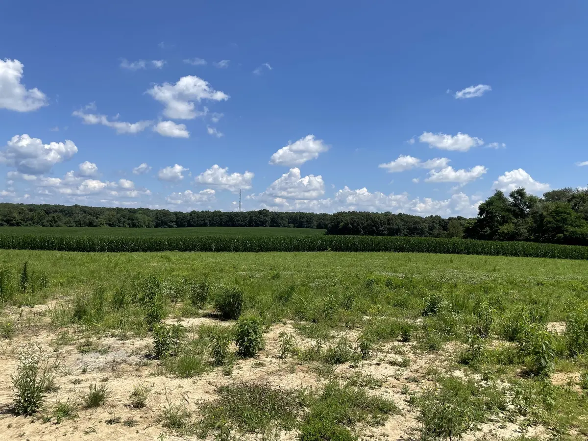 0 Hidden Hills Lane, Summertown, TN 38483