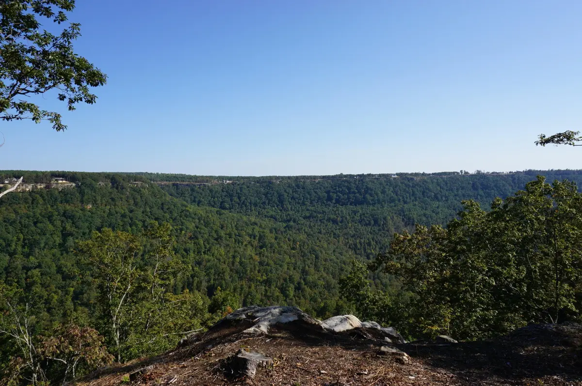 0 Crockett Point, Jasper, TN 37347