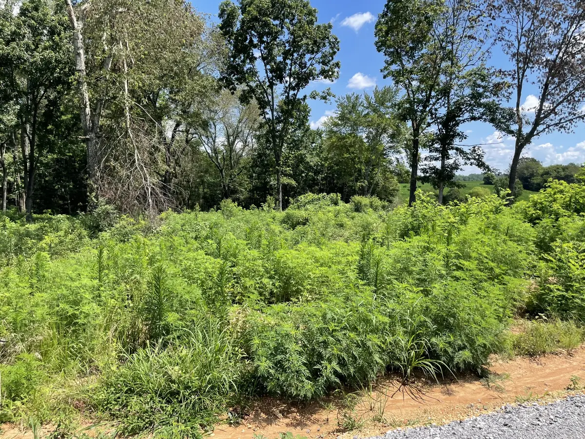 0 Hidden Hills Lane, Summertown, TN 38483