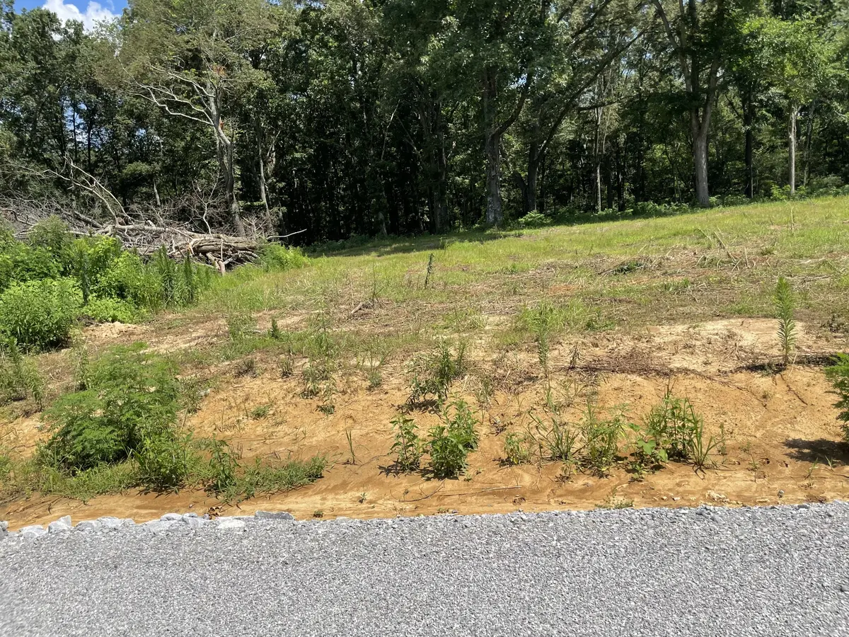 0 Hidden Hills Lane, Summertown, TN 38483