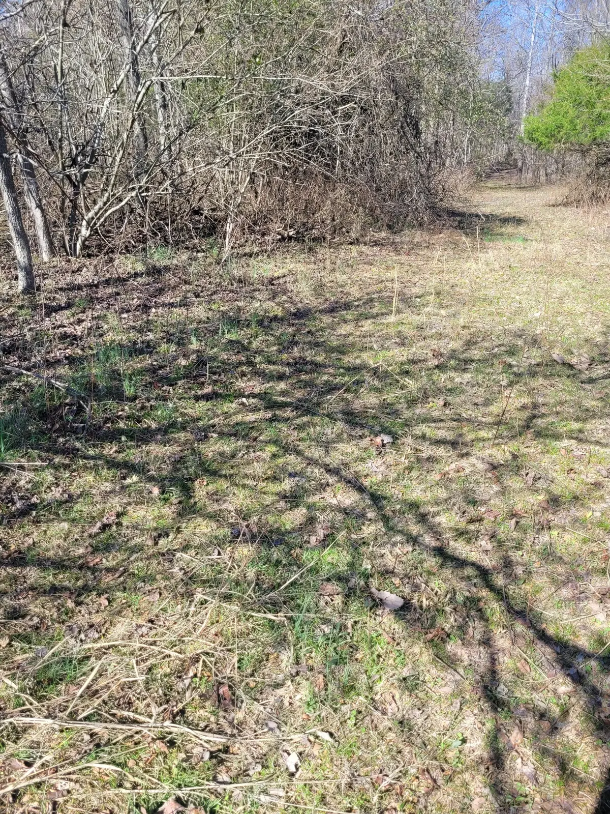 0 Cowhorne Hollow Rd, Prospect, TN 38477