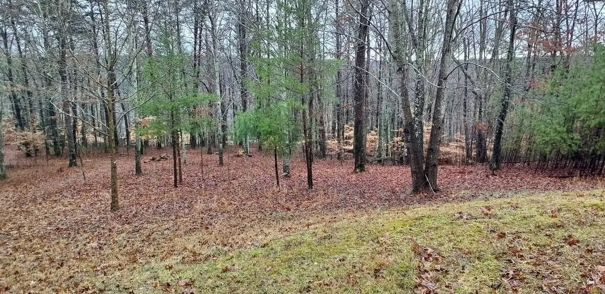 0 Wilderness Lane, Spencer, TN 38585