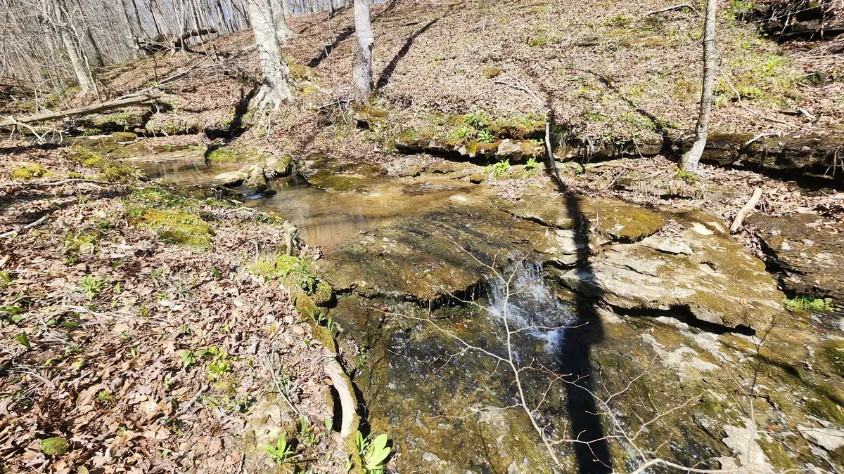 0 Allen Bend Rd, Smithville, TN 37166