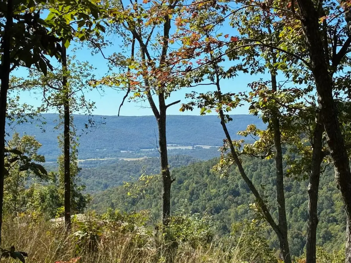 4093 Raulston Falls Road, Jasper, TN 37347