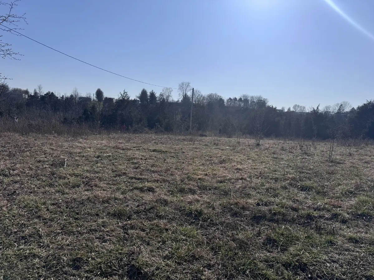 0 Ward Hollow Road, Brush Creek, TN 38547