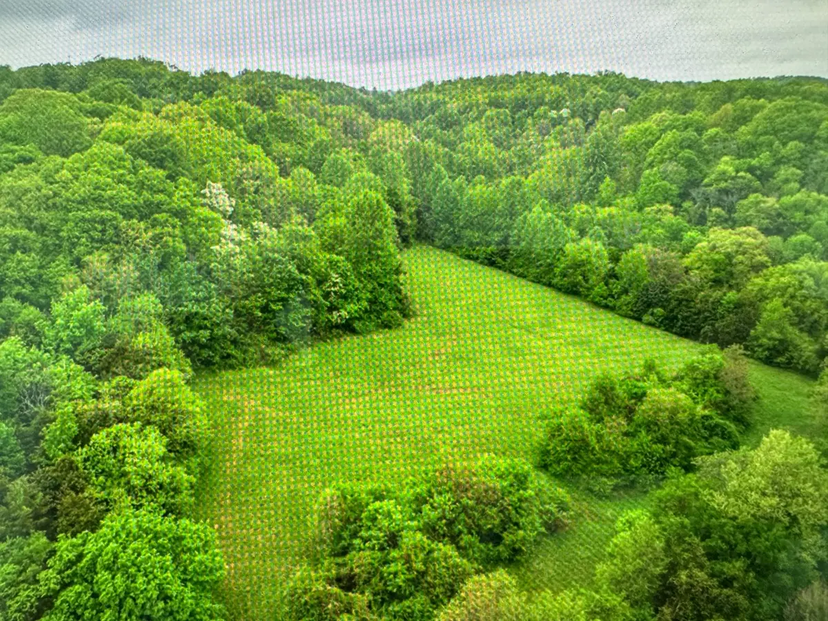 0 Collier Rd, Lewisburg, TN 37091