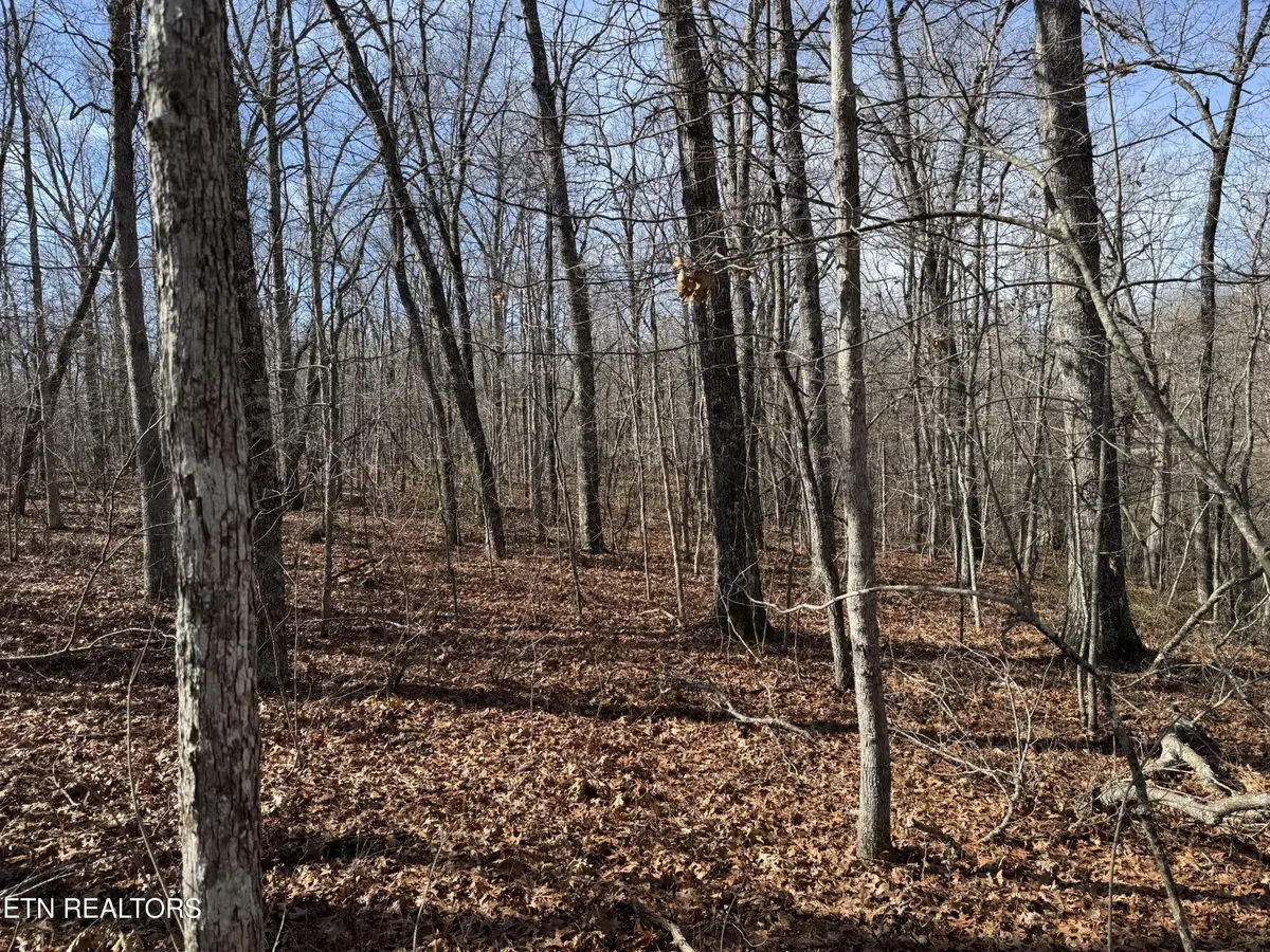 38 Crystal Point, Monterey, TN 38574