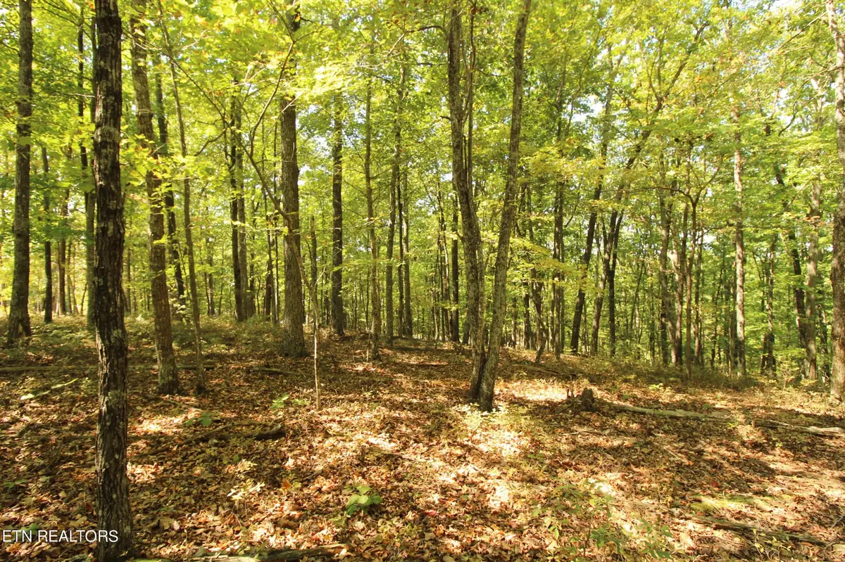 323 Rotherham Drive, Crossville, TN 38558